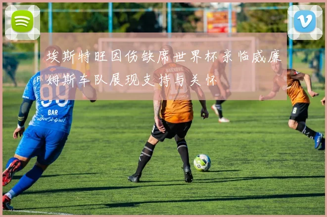 埃斯特旺因伤缺席世界杯亲临威廉姆斯车队展现支持与关怀