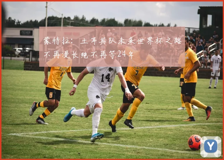 蒙特拉:土耳其队未来世界杯之路不再漫长绝不再等24年